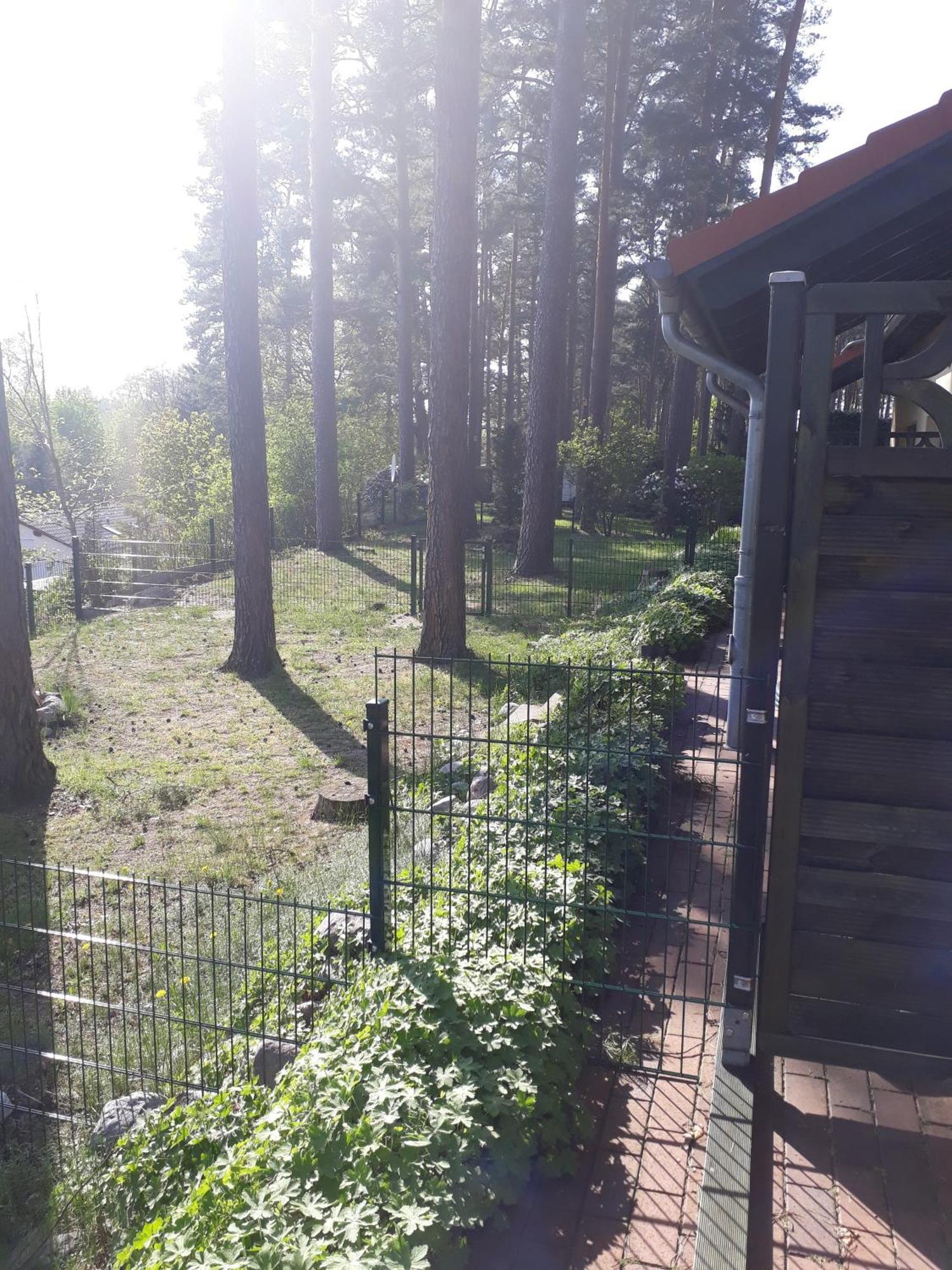 Ferienhaus Waldschneise B Am Jabeler See Esterno foto
